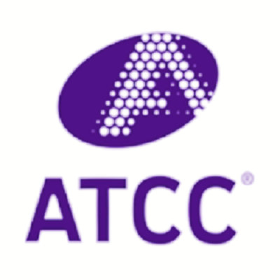 ATCC10231白色念珠菌应用领域