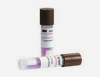 湿热蒸汽灭菌生物指示剂的培养观察过程是怎样的？