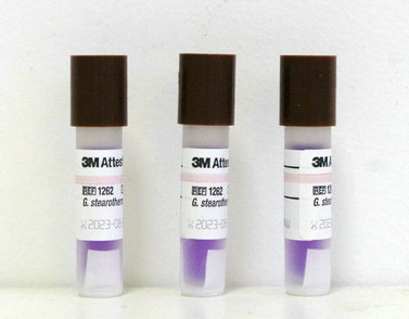 3M生物指示剂1262-S的使用场景